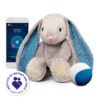 E-zzy Milo the Humming Bunny with an app and the CRYsensor function