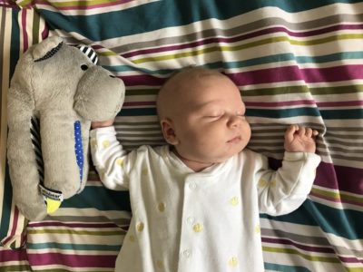Life at the Biltons: E-zzy the Sloth – Finley’s Little Sleep Saviour